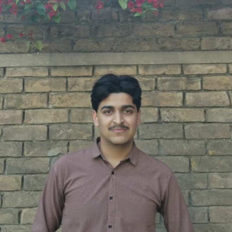 Hassan Murtaza